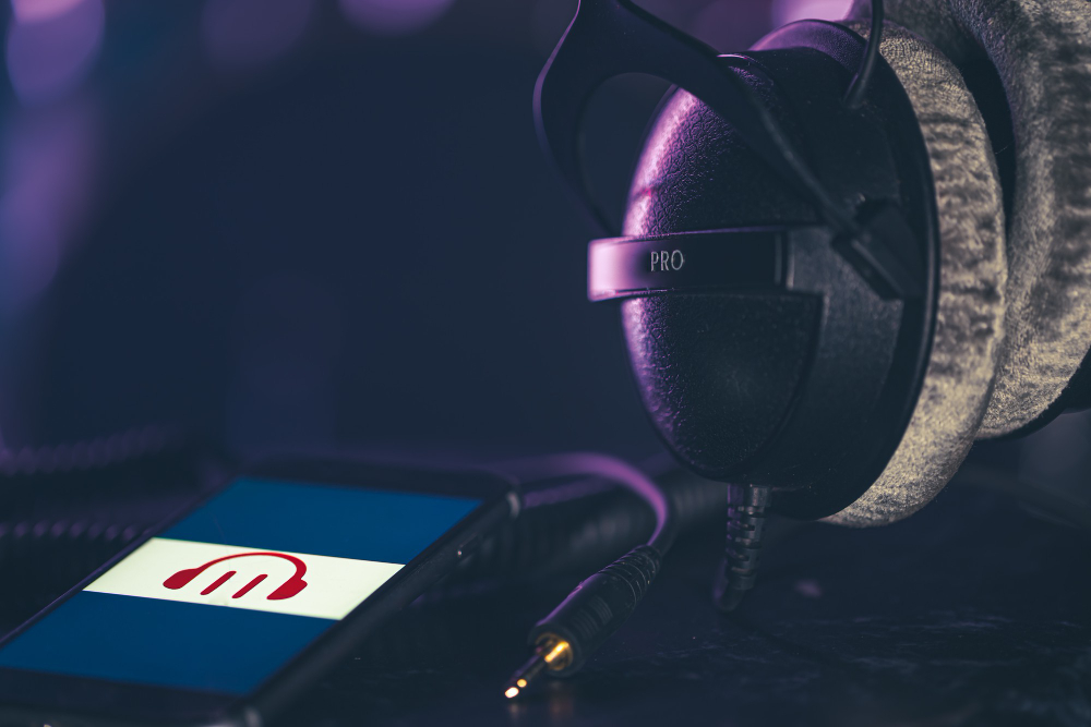 Free Music Distribution for Independent Music Artists; Don&#8217;t Miss